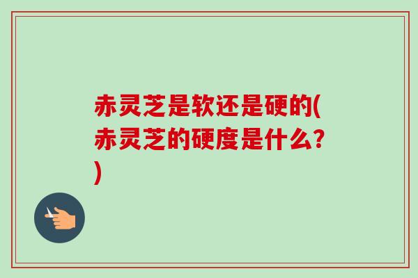 赤灵芝是软还是硬的(赤灵芝的硬度是什么?)-第1张图片-卓越灵芝孢子粉 赤灵芝是软还是硬的(赤灵芝的硬度是什么?)-第1张图片-卓越灵芝孢子粉