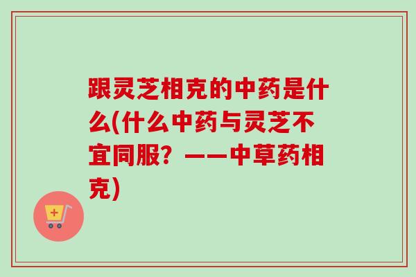跟灵芝相克的中药是什么(什么中药与灵芝不宜同服？——中草药相克)-第1张图片-卓越灵芝孢子粉