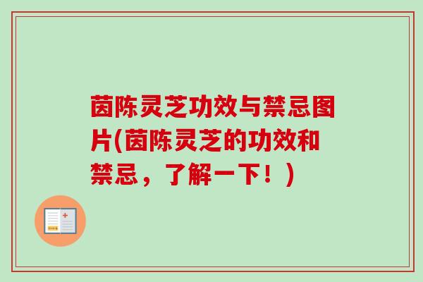 茵陈灵芝功效与禁忌图片(茵陈灵芝的功效和禁忌,了解一下!)-第1张图片-卓越灵芝孢子粉 茵陈灵芝功效与禁忌图片(茵陈灵芝的功效和禁忌,了解一下!)-第1张图片-卓越灵芝孢子粉