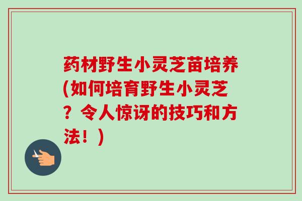 药材野生小灵芝苗培养(如何培育野生小灵芝?令人惊讶的技巧和方法!)-第1张图片-卓越灵芝孢子粉 药材野生小灵芝苗培养(如何培育野生小灵芝?令人惊讶的技巧和方法!)-第1张图片-卓越灵芝孢子粉