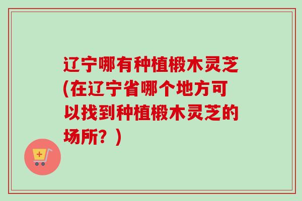 辽宁哪有种植椴木灵芝(在辽宁省哪个地方可以找到种植椴木灵芝的场所？)-第1张图片-卓越灵芝孢子粉