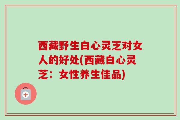 西藏野生白心灵芝对女人的好处(西藏白心灵芝:女性养生佳品)-第1张图片-卓越灵芝孢子粉 西藏野生白心灵芝对女人的好处(西藏白心灵芝:女性养生佳品)-第1张图片-卓越灵芝孢子粉