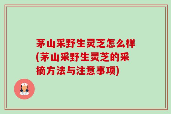 茅山采野生灵芝怎么样(茅山采野生灵芝的采摘方法与注意事项)-第1张图片-卓越灵芝孢子粉 茅山采野生灵芝怎么样(茅山采野生灵芝的采摘方法与注意事项)-第1张图片-卓越灵芝孢子粉