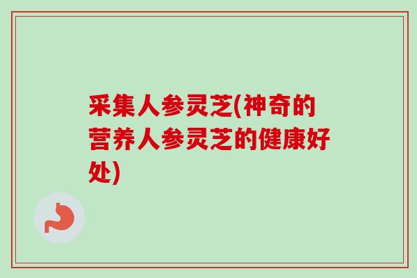 采集人参灵芝(神奇的营养人参灵芝的健康好处)-第1张图片-卓越灵芝孢子粉 采集人参灵芝(神奇的营养人参灵芝的健康好处)-第1张图片-卓越灵芝孢子粉