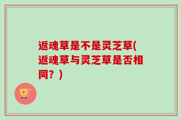 返魂草是不是灵芝草(返魂草与灵芝草是否相同？)-第1张图片-卓越灵芝孢子粉
