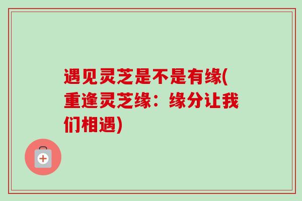 遇见灵芝是不是有缘(重逢灵芝缘:缘分让我们相遇)-第1张图片-卓越灵芝孢子粉 遇见灵芝是不是有缘(重逢灵芝缘:缘分让我们相遇)-第1张图片-卓越灵芝孢子粉