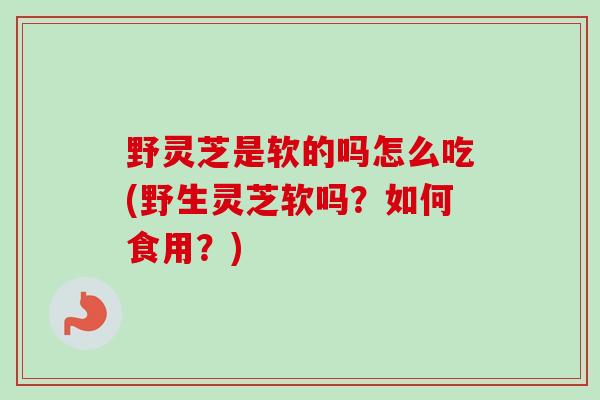 野灵芝是软的吗怎么吃(野生灵芝软吗?如何食用?)-第1张图片-卓越灵芝孢子粉 野灵芝是软的吗怎么吃(野生灵芝软吗?如何食用?)-第1张图片-卓越灵芝孢子粉