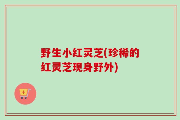 野生小红灵芝(珍稀的红灵芝现身野外)-第1张图片-卓越灵芝孢子粉 野生小红灵芝(珍稀的红灵芝现身野外)-第1张图片-卓越灵芝孢子粉
