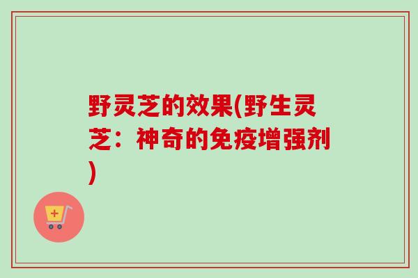 野灵芝的效果(野生灵芝：神奇的免疫增强剂)-第1张图片-卓越灵芝孢子粉