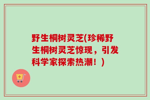 野生桐树灵芝(珍稀野生桐树灵芝惊现,引发科学家探索热潮!)-第1张图片-卓越灵芝孢子粉 野生桐树灵芝(珍稀野生桐树灵芝惊现,引发科学家探索热潮!)-第1张图片-卓越灵芝孢子粉