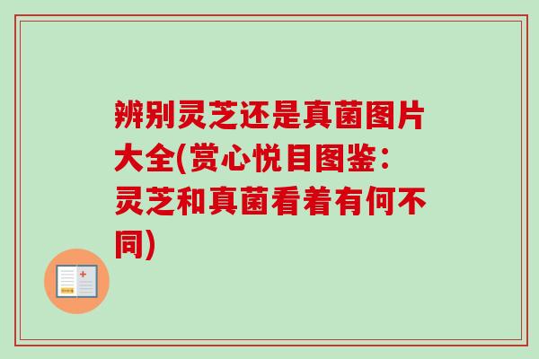 辨别灵芝还是真菌图片大全(赏心悦目图鉴:灵芝和真菌看着有何不同)-第1张图片-卓越灵芝孢子粉 辨别灵芝还是真菌图片大全(赏心悦目图鉴:灵芝和真菌看着有何不同)-第1张图片-卓越灵芝孢子粉