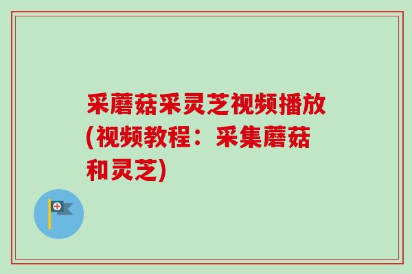 采蘑菇采灵芝视频播放(视频教程:采集蘑菇和灵芝)-第1张图片-卓越灵芝孢子粉 采蘑菇采灵芝视频播放(视频教程:采集蘑菇和灵芝)-第1张图片-卓越灵芝孢子粉