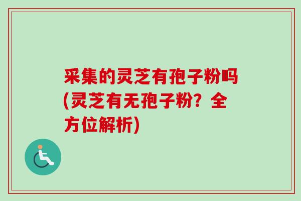 采集的灵芝有孢子粉吗(灵芝有无孢子粉?全方位解析)-第1张图片-卓越灵芝孢子粉 采集的灵芝有孢子粉吗(灵芝有无孢子粉?全方位解析)-第1张图片-卓越灵芝孢子粉