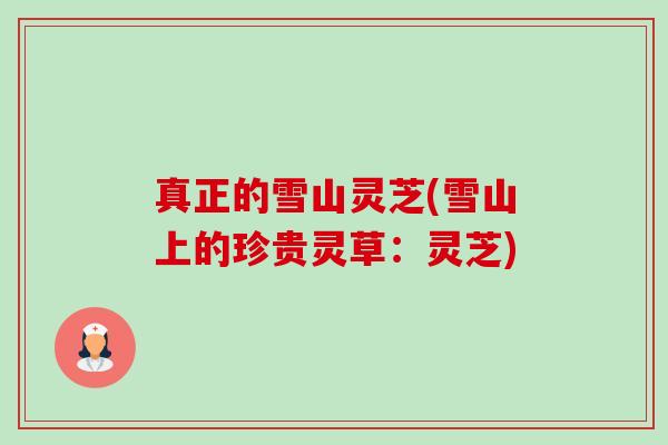 真正的雪山灵芝(雪山上的珍贵灵草:灵芝)-第1张图片-卓越灵芝孢子粉 真正的雪山灵芝(雪山上的珍贵灵草:灵芝)-第1张图片-卓越灵芝孢子粉