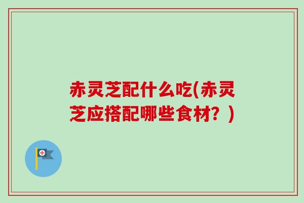 赤灵芝配什么吃(赤灵芝应搭配哪些食材?)-第1张图片-卓越灵芝孢子粉 赤灵芝配什么吃(赤灵芝应搭配哪些食材?)-第1张图片-卓越灵芝孢子粉