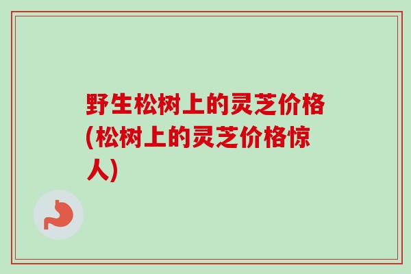 野生松树上的灵芝价格(松树上的灵芝价格惊人)-第1张图片-卓越灵芝孢子粉 野生松树上的灵芝价格(松树上的灵芝价格惊人)-第1张图片-卓越灵芝孢子粉