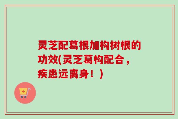 灵芝配葛根加构树根的功效(灵芝葛构配合，疾患远离身！)-第1张图片-卓越灵芝孢子粉