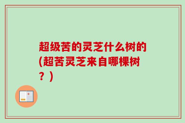 超级苦的灵芝什么树的(超苦灵芝来自哪棵树？)-第1张图片-卓越灵芝孢子粉