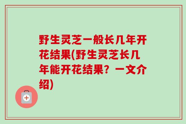 野生灵芝一般长几年开花结果(野生灵芝长几年能开花结果?一文介绍)-第1张图片-卓越灵芝孢子粉 野生灵芝一般长几年开花结果(野生灵芝长几年能开花结果?一文介绍)-第1张图片-卓越灵芝孢子粉