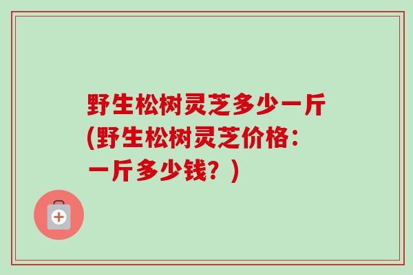 野生松树灵芝多少一斤(野生松树灵芝价格:一斤多少钱?)-第1张图片-卓越灵芝孢子粉 野生松树灵芝多少一斤(野生松树灵芝价格:一斤多少钱?)-第1张图片-卓越灵芝孢子粉