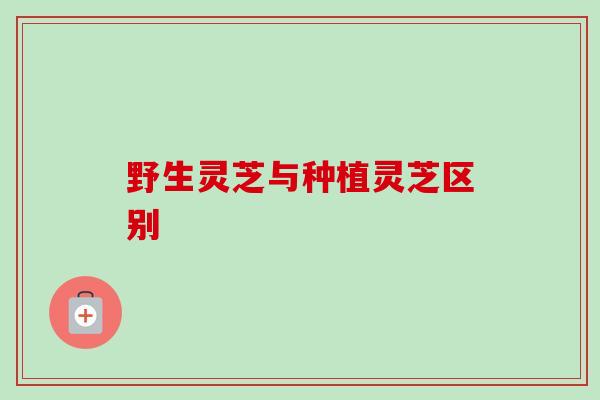 野生灵芝与种植灵芝区别-第1张图片-卓越灵芝孢子粉 野生灵芝与种植灵芝区别-第1张图片-卓越灵芝孢子粉
