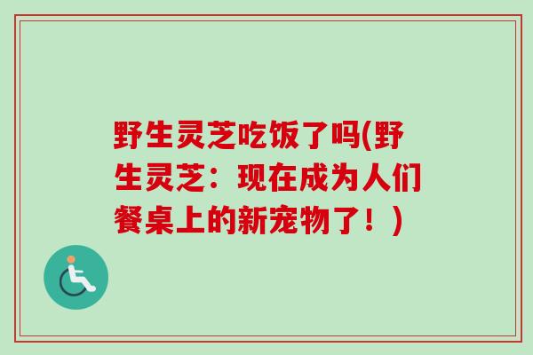 野生灵芝吃饭了吗(野生灵芝：现在成为人们餐桌上的新宠物了！)-第1张图片-卓越灵芝孢子粉