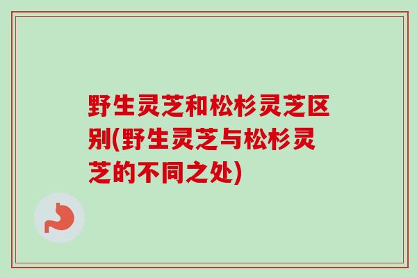 野生灵芝和松杉灵芝区别(野生灵芝与松杉灵芝的不同之处)-第1张图片-卓越灵芝孢子粉 野生灵芝和松杉灵芝区别(野生灵芝与松杉灵芝的不同之处)-第1张图片-卓越灵芝孢子粉