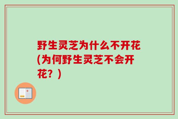 野生灵芝为什么不开花(为何野生灵芝不会开花？)-第1张图片-卓越灵芝孢子粉