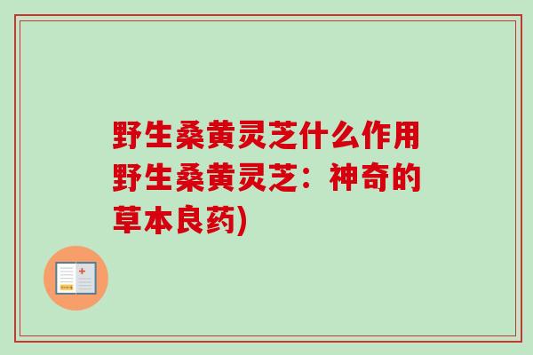 野生桑黄灵芝什么作用野生桑黄灵芝:神奇的草本良药)-第1张图片-卓越灵芝孢子粉 野生桑黄灵芝什么作用野生桑黄灵芝:神奇的草本良药)-第1张图片-卓越灵芝孢子粉