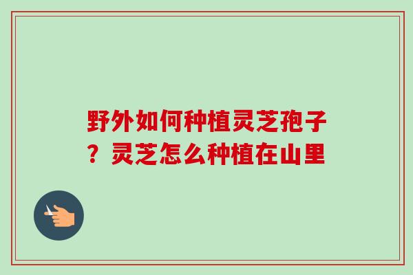 野外如何种植灵芝孢子?灵芝怎么种植在山里-第1张图片-卓越灵芝孢子粉 野外如何种植灵芝孢子?灵芝怎么种植在山里-第1张图片-卓越灵芝孢子粉