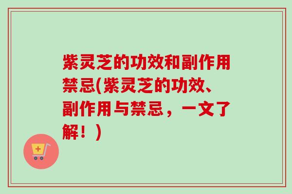 紫灵芝的功效和副作用禁忌(紫灵芝的功效、副作用与禁忌，一文了解！)-第1张图片-卓越灵芝孢子粉