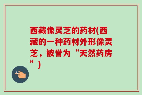 西藏像灵芝的药材(西藏的一种药材外形像灵芝，被誉为“天然药房”)-第1张图片-卓越灵芝孢子粉