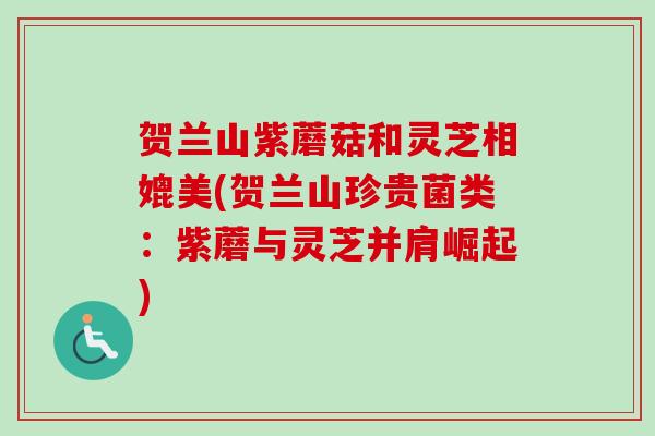 贺兰山紫蘑菇和灵芝相媲美(贺兰山珍贵菌类:紫蘑与灵芝并肩崛起)-第1张图片-卓越灵芝孢子粉 贺兰山紫蘑菇和灵芝相媲美(贺兰山珍贵菌类:紫蘑与灵芝并肩崛起)-第1张图片-卓越灵芝孢子粉