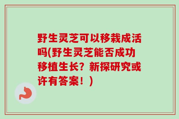 野生灵芝可以移栽成活吗(野生灵芝能否成功移植生长?新探研究或许有答案!)-第1张图片-卓越灵芝孢子粉 野生灵芝可以移栽成活吗(野生灵芝能否成功移植生长?新探研究或许有答案!)-第1张图片-卓越灵芝孢子粉