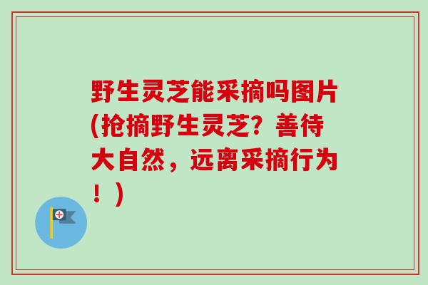 野生灵芝能采摘吗图片(抢摘野生灵芝？善待大自然，远离采摘行为！)-第1张图片-卓越灵芝孢子粉