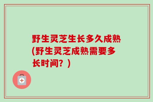 野生灵芝生长多久成熟(野生灵芝成熟需要多长时间？)-第1张图片-卓越灵芝孢子粉