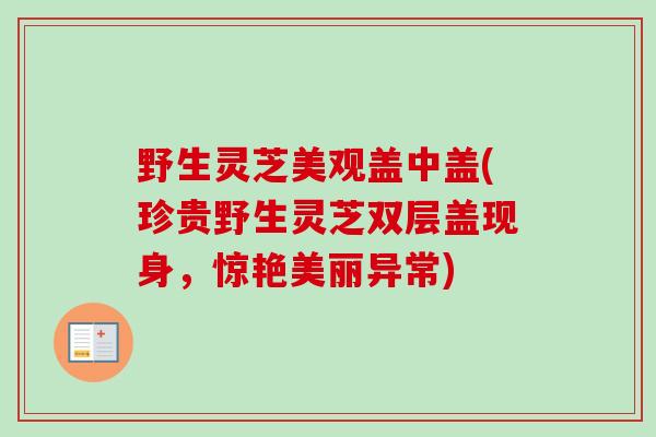 野生灵芝美观盖中盖(珍贵野生灵芝双层盖现身,惊艳美丽异常)-第1张图片-卓越灵芝孢子粉 野生灵芝美观盖中盖(珍贵野生灵芝双层盖现身,惊艳美丽异常)-第1张图片-卓越灵芝孢子粉