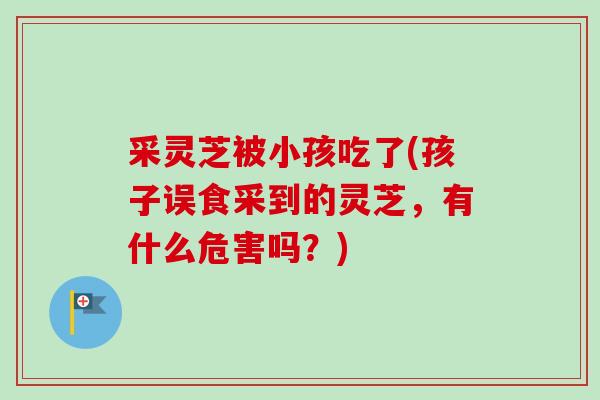 采灵芝被小孩吃了(孩子误食采到的灵芝,有什么危害吗?)-第1张图片-卓越灵芝孢子粉 采灵芝被小孩吃了(孩子误食采到的灵芝,有什么危害吗?)-第1张图片-卓越灵芝孢子粉