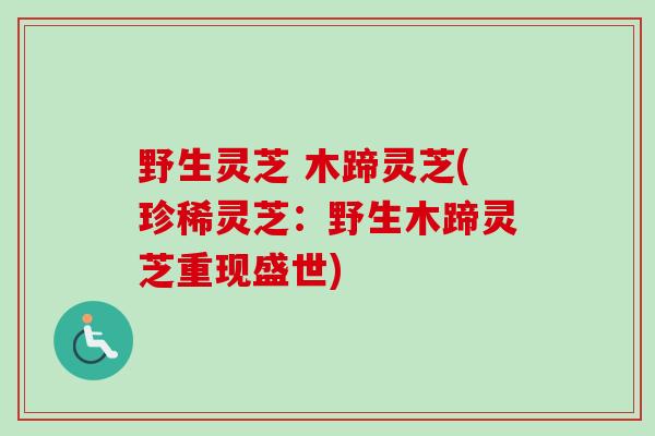 野生灵芝 木蹄灵芝(珍稀灵芝:野生木蹄灵芝重现盛世)-第1张图片-卓越灵芝孢子粉 野生灵芝 木蹄灵芝(珍稀灵芝:野生木蹄灵芝重现盛世)-第1张图片-卓越灵芝孢子粉