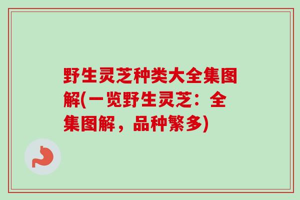 野生灵芝种类大全集图解(一览野生灵芝:全集图解,品种繁多)-第1张图片-卓越灵芝孢子粉 野生灵芝种类大全集图解(一览野生灵芝:全集图解,品种繁多)-第1张图片-卓越灵芝孢子粉