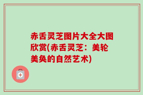 赤舌灵芝图片大全大图欣赏(赤舌灵芝：美轮美奂的自然艺术)-第1张图片-卓越灵芝孢子粉