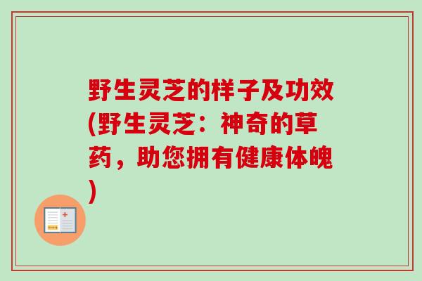 野生灵芝的样子及功效(野生灵芝:神奇的草药,助您拥有健康体魄)-第1张图片-卓越灵芝孢子粉 野生灵芝的样子及功效(野生灵芝:神奇的草药,助您拥有健康体魄)-第1张图片-卓越灵芝孢子粉