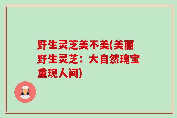 野生灵芝美不美(美丽野生灵芝:大自然瑰宝重现人间)-第1张图片-卓越灵芝孢子粉 野生灵芝美不美(美丽野生灵芝:大自然瑰宝重现人间)-第1张图片-卓越灵芝孢子粉