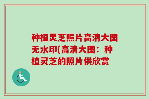 种植灵芝照片高清大图无水印(高清大图:种植灵芝的照片供欣赏-第1张图片-卓越灵芝孢子粉 种植灵芝照片高清大图无水印(高清大图:种植灵芝的照片供欣赏-第1张图片-卓越灵芝孢子粉