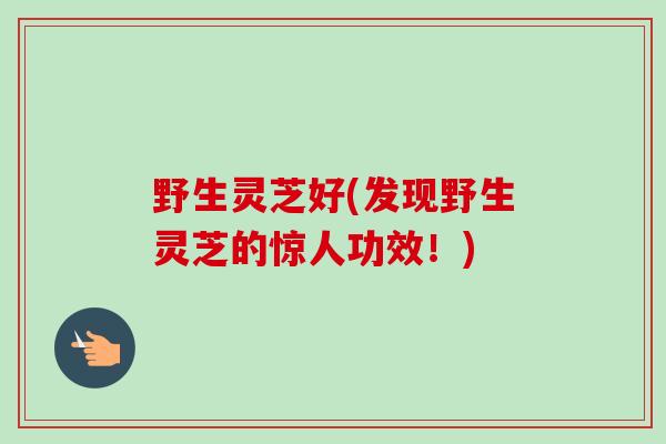 野生灵芝好(发现野生灵芝的惊人功效！)-第1张图片-卓越灵芝孢子粉