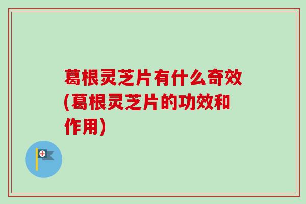 葛根灵芝片有什么奇效(葛根灵芝片的功效和作用)-第1张图片-卓越灵芝孢子粉 葛根灵芝片有什么奇效(葛根灵芝片的功效和作用)-第1张图片-卓越灵芝孢子粉