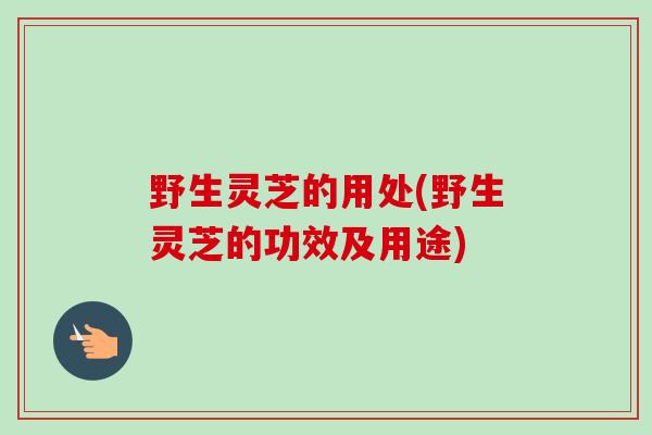 野生灵芝的用处(野生灵芝的功效及用途)-第1张图片-卓越灵芝孢子粉 野生灵芝的用处(野生灵芝的功效及用途)-第1张图片-卓越灵芝孢子粉