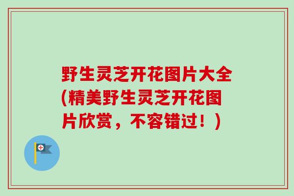 野生灵芝开花图片大全(精美野生灵芝开花图片欣赏,不容错过!)-第1张图片-卓越灵芝孢子粉 野生灵芝开花图片大全(精美野生灵芝开花图片欣赏,不容错过!)-第1张图片-卓越灵芝孢子粉