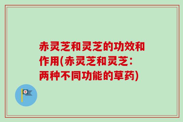 赤灵芝和灵芝的功效和作用(赤灵芝和灵芝:两种不同功能的草药)-第1张图片-卓越灵芝孢子粉 赤灵芝和灵芝的功效和作用(赤灵芝和灵芝:两种不同功能的草药)-第1张图片-卓越灵芝孢子粉