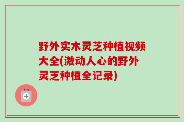 野外实木灵芝种植视频大全(激动人心的野外灵芝种植全记录)-第1张图片-卓越灵芝孢子粉 野外实木灵芝种植视频大全(激动人心的野外灵芝种植全记录)-第1张图片-卓越灵芝孢子粉